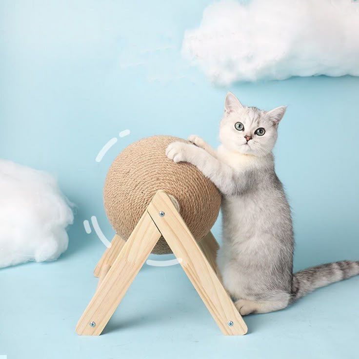 Pet Supplies